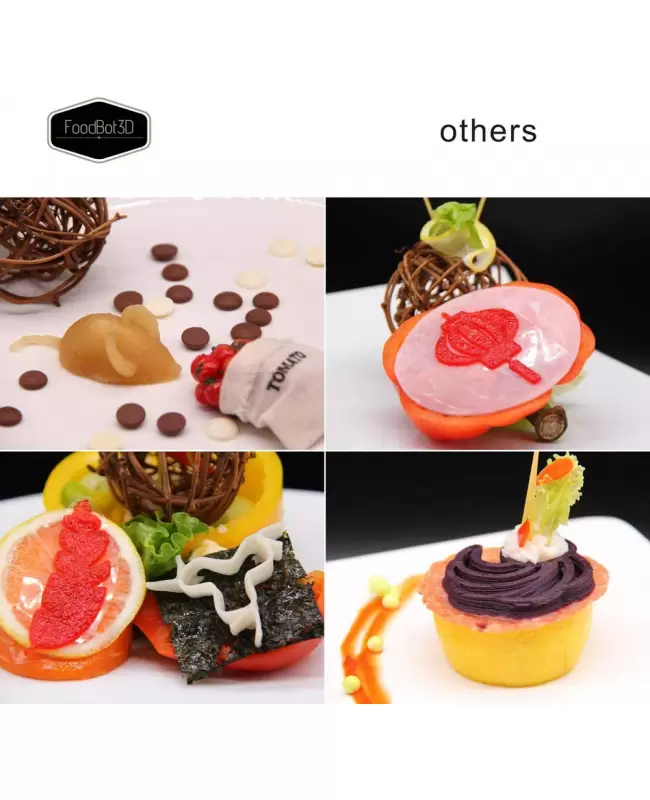 FoodBot S2 Multifunctional Chocolate Food 3D Printer