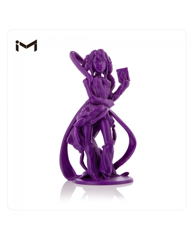 Multoo MT2X IDEX 3D Printer