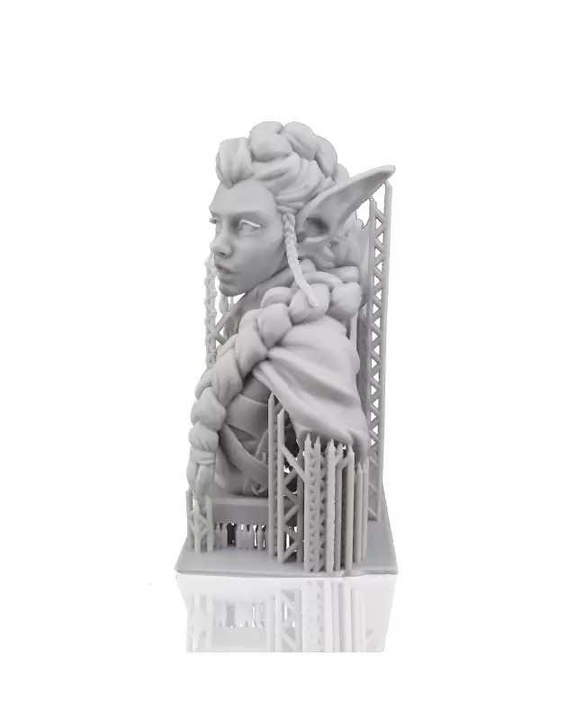 Phrozen ABS like Matte Gray, 500g