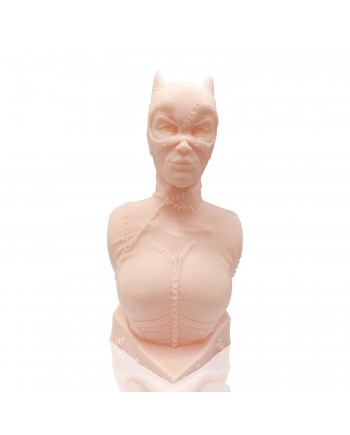 Phrozen Standard Resin Beige, 500g Phrozen Standard Resin Beige, 500g